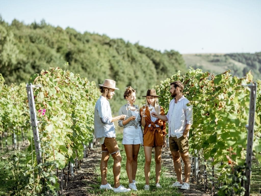 Picture of four people holding wine glasses in a farm