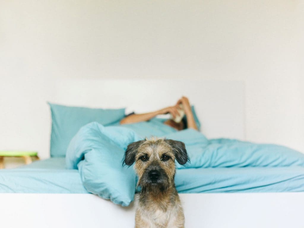 A dog sitting in front of a person lying on the bed