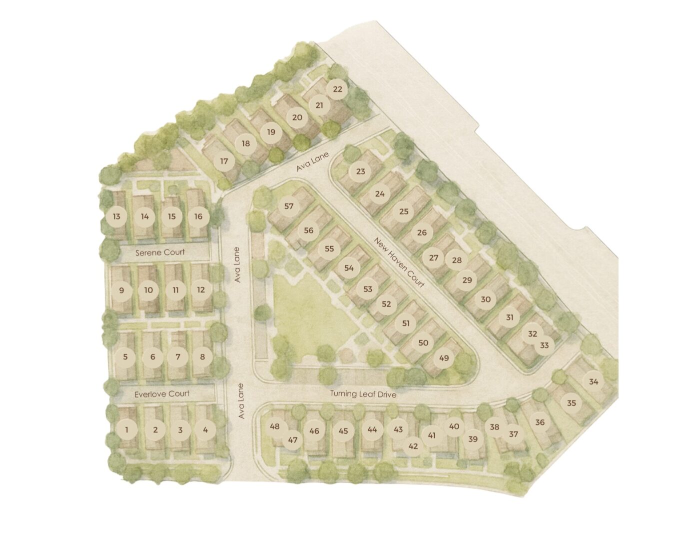 Ava Lane Brochure Packet (Printed)