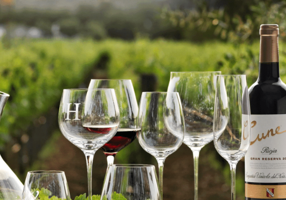 Wine glasses and bottle on outdoor table. Wine glasses and bottle on outdoor table.